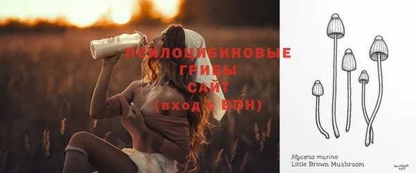спиды Карпинск