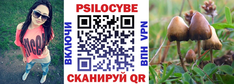 Купить где  Городец  Галлюциногенные грибы Magic Shrooms 